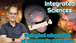 Integrated science  Lesson 4 The biological adaptation of the aquatic organisms [upl. by Nwahsad642]