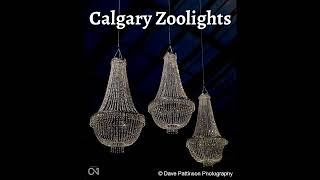 Calgary Zoolights [upl. by Nilsoj]