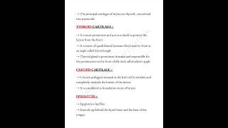 Cartilages of Larynx notes📝 headandneck anatomy larynx medicalconcepts28 [upl. by Muiram]