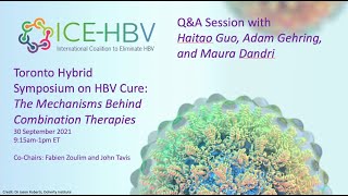 ICEHBV Cure Symposium 2021 QampA Session Haitao Guo Adam Gehring amp Maura Dandri [upl. by Glynis]