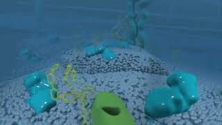 The Plasma Membrane and the Fluid Mosaic Model [upl. by Egor]