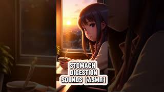 ASMR  Stomach Digestion Sounds  🍝 [upl. by Suoirtemed]