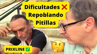 PRIXLINE ✅ CÓMO VIVIR EN LOS PUEBLOS DE ESPAÑA 🇪🇸 QUE NECESITAN EXTRANJEROS ¡REPOBLANDO PITILLAS [upl. by Barraza]