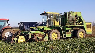 Super rare Standen Challenger SP6 selfpropelled sugar beet harvester  Rolls Royce engine  Classic [upl. by Bausch337]