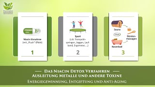 Das Niacin Detox Verfahren – Ausleitung Metalle und andere Toxine  Dominik Dietz [upl. by Hew]