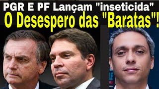 BOLSONARO E AS quotBARATAS DA DIREITAquot REAPARECEM DESCOBRIRAM B0MBA PGR E PF quotINSETICIDAquot ENLOUQUECE [upl. by Yelnikcm901]