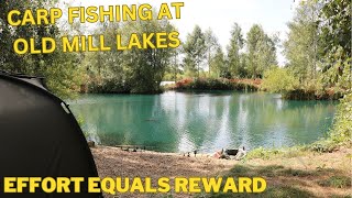 CARP FISHING AT OLD MILL LAKES carpfishing2024 carp carpfishing [upl. by Riesman]