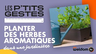 Planter des herbes aromatiques dans une jardinière  Les Ptits gestes  Weldom [upl. by Ggerc]