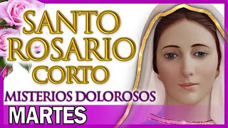 Santo Rosario Corto de Hoy Martes 🌸 Misterios Dolorosos 🌻 Rosario a Santa Virgen María [upl. by Hbaruas]