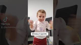 Whiskey il ragnettoprove di baby dance [upl. by Ilaw]