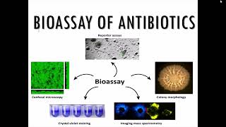 Microbiological Assay of Antibiotics  Principle and method of different bioassay of antibiotics [upl. by Duomham]