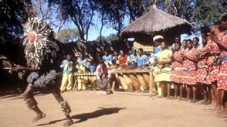 Danza tribal africana Malinke Singers ethnic african dance [upl. by Sanfred]