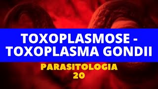 TOXOPLASMOSE  TOXOPLASMA GONDII  PARASITOLOGIA 20 [upl. by Aokek617]