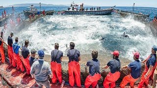 Everyone should watch this Fishermens video  Big Catch Hundreds Tons Fish With Modern Big Boat [upl. by Geno]