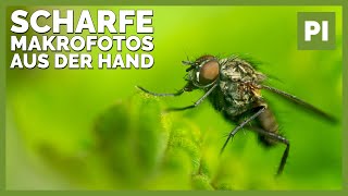 📷5 Tipps für scharfe Makrofotos aus der Hand  Insektenfotografie [upl. by Satsok]