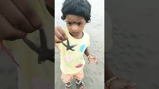 Star fish insta kidssong star trending short ytshorts shortvideo starfish ⭐⭐⭐⭐⭐ [upl. by Hayden385]