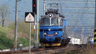 Sneaky Container  ČDCargo Laminátka 230073 Container cargo train  Bratislava  Devínska Nová Ves [upl. by Cobb19]