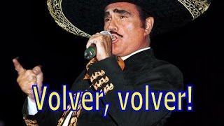 Volver Volver Vicente Fernandez House remix [upl. by Weismann501]