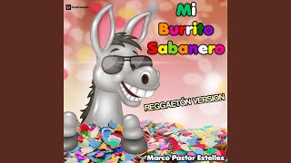 Mi Burrito Sabanero Reggeton Mix [upl. by Aiepoissac]