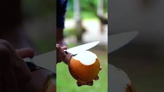 Healthy King Coconut Juice      kingcoconut healthy viralvideo foryou funny [upl. by Ingelbert]