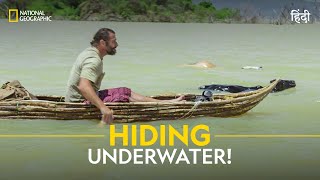 Hiding Underwater  Primal Survivor  हिन्दी  Full Episode  S7  E3  National Geographic [upl. by Earissed]