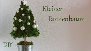 DIY  Kleiner Tannenbaum  schöne Weihnachtsdeko mit Naturmaterialien  Just Deko [upl. by Alimat]