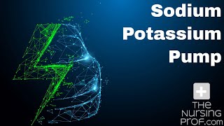 Sodium Potassium Pump [upl. by Chem]