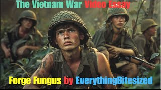 War in Vietnam  Video Essay [upl. by Oleg671]