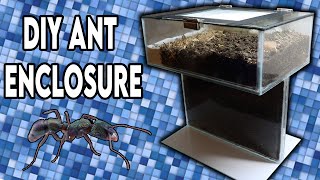 Building My Ant Formicarium DESIGN [upl. by Budd]