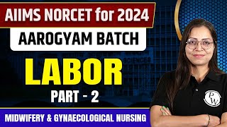 Labor Part2  Midwifery amp Gynaecological Nursing  NORCET 6 2024 [upl. by Esya]