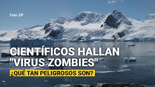 Científicos hallan quotvirus zombiesquot en permafrost de Siberia ¿Qué tan peligrosos son [upl. by Etteuqal94]