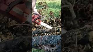 DEGÀGEMENT DES BRANCHES AVANT COUPER viralvideo hardworks farmwork nature agriculture machine [upl. by Onilecram]