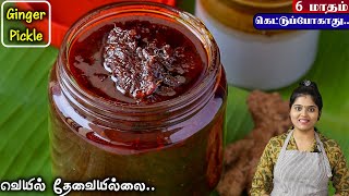 இட்லி தோசை சாதம் சப்பாத்திக்கு செம சைடிஸ்👌 how to make ginger pickle in tamil  inji oorugai [upl. by Suedama]