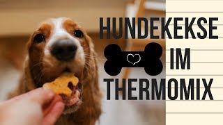 Hundekekse Grundrezept  mit und ohne Thermomix [upl. by Rolfe]