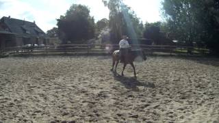 Riding one handed in the Hackamore Californio Traditions Cody Deering [upl. by Daly]