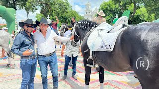 Desfile hípico en Esquipulas Chiquimula yosoytiogil502guate [upl. by Ludmilla]