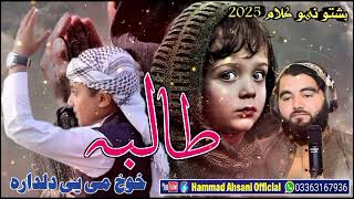 Taliba Khkoli Ye Dildara  New Best Poshto Nazm 2025  By Hammad A [upl. by Kraus]