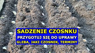 Sadzenie Czosnku  PRZYGOTUJ SIĘ Przygotowanie Gleby Jaki Czosnek Wybrać Jak Kiedy Sadzić Czosnek [upl. by Rubi]