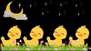 🦆🌈 Baby Sensory Video Dive into a World of Colorful Ducks 🌈🦆 [upl. by Erland388]