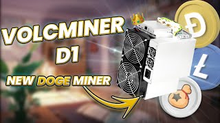 VolcMiner D1  New Most Profitable Dogecoin Miner [upl. by Aehtna722]