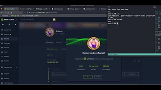 HackTheBox  Runner [upl. by Isayg]