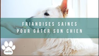 RECETTE FRIANDISES SAINES POUR CHIEN [upl. by Lellih245]