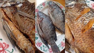 Dijen Channel☘️ is live Screen cast 07 Nov2024 fish tilapia [upl. by Deina963]