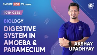 Digestive System In Amoeba amp Paramecium  Biology  Class 10 CBSE  Akshay Upadhyay [upl. by Rahmann30]