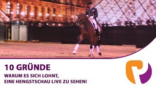 10 Gründe für deinen Hengstschaubesuch [upl. by Ahsiner]