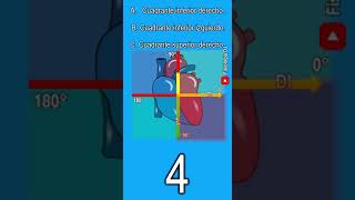 Electrocardiograma interpretación  Cuadrante del eje eléctrico que resalta en la animación [upl. by Ramaj369]