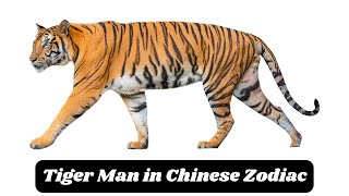 The Tiger Man A Fierce Force in the Chinese Zodiac [upl. by Gambell]