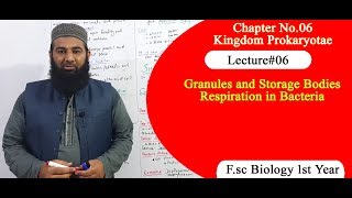 Biology Ch06Lecture06 Granules and storage bodies FSc 1st Year [upl. by Nimsay]