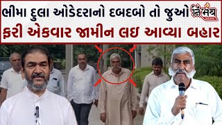 Porbander Bhima Dula Odedra નો દબદબો તો જુઓ ફરી એકવાર મળ્યા જામીન Nirbhay News  Porbandar [upl. by Brine]