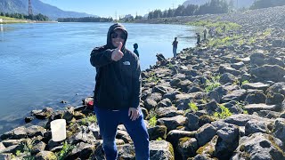 Bonneville Dam Shad Fishing June 5th 2024 Update [upl. by Nolahp]